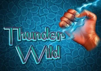 Thunder Wild (1) screenshot